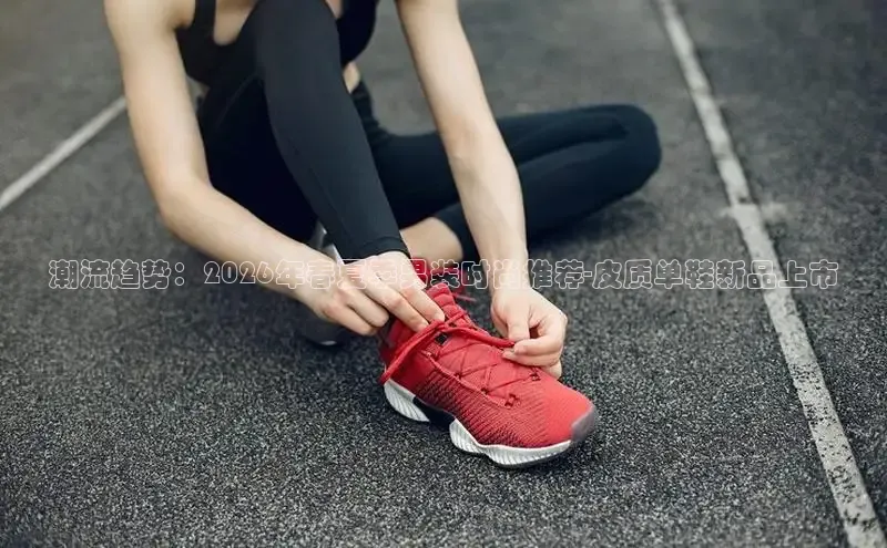 蜘蛛体育免费直播