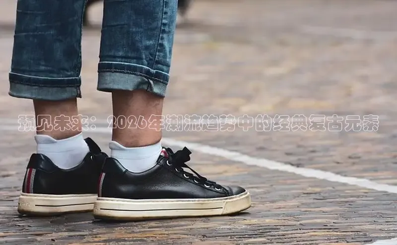 蜘蛛直播小狐狸