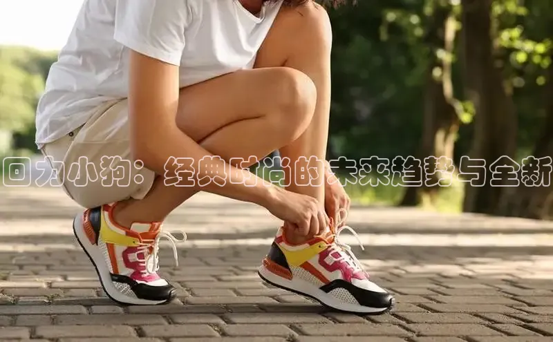 蜘蛛体育直播app